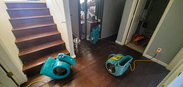 Best Fire Damage Restoration  in Suffern, NY
