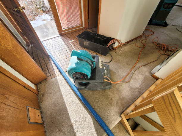 Carpet water damage restoration in Suffern, NY