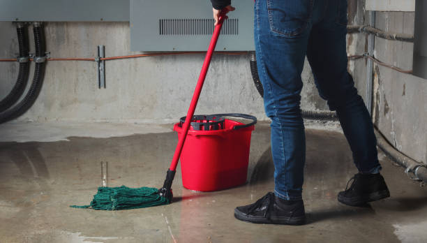 Best Water damage contractors near me  in Suffern, NY