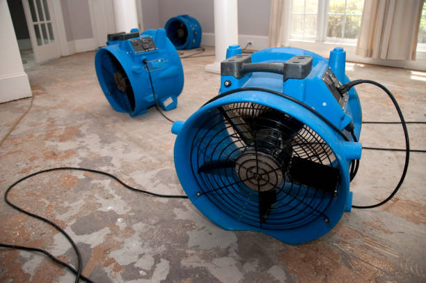 Best Water damage restoration near me  in Suffern, NY