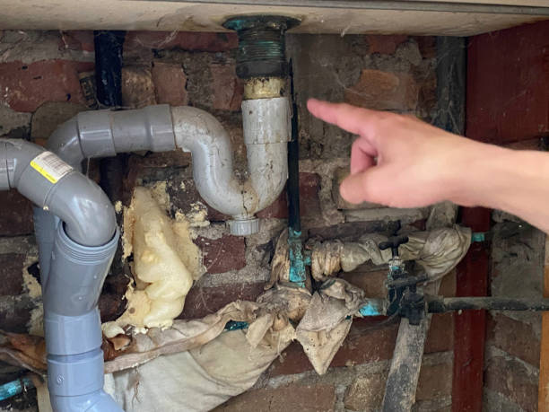 Best Mold removal after water damage  in Suffern, NY